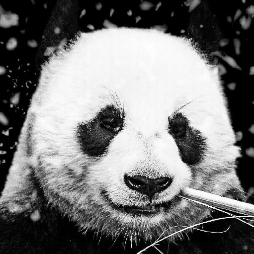 萌獸無雙