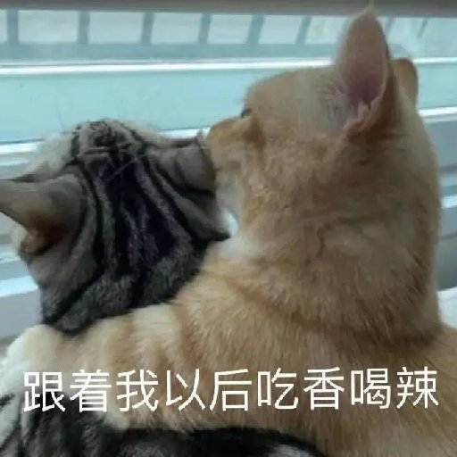 茹歌兒