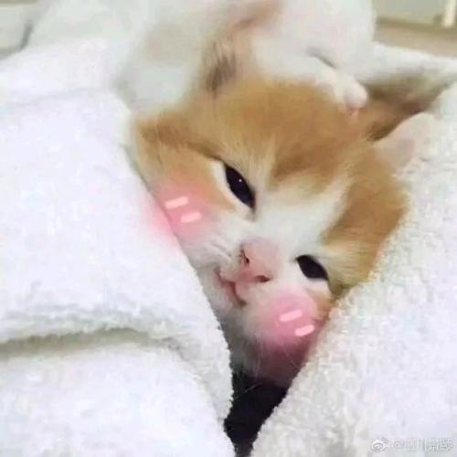 讓故事有然后