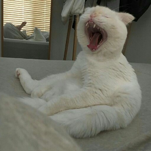 朔風之名