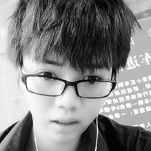 拼搏的獅子