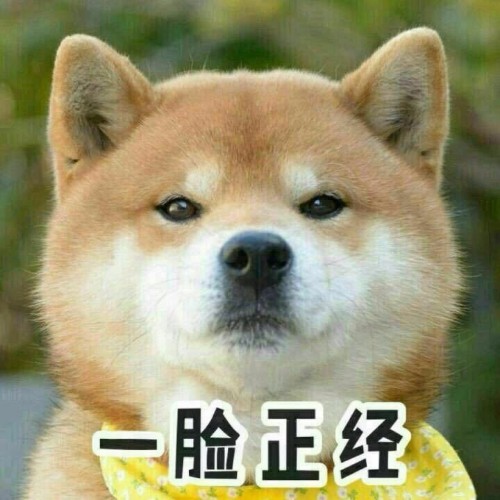 不愛(ài)吃肉的狗