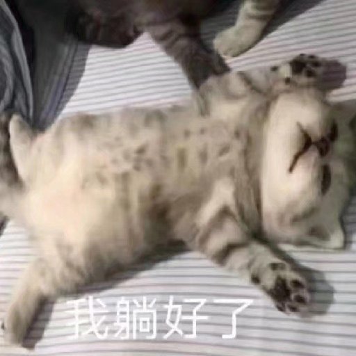 浮生辭一君莫