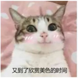 利茲啊栗子