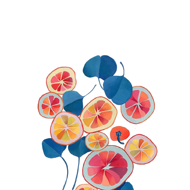最圓菌