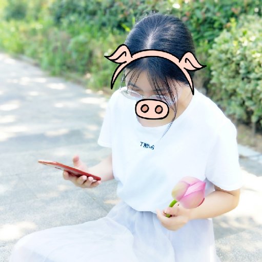 一寸蓮心