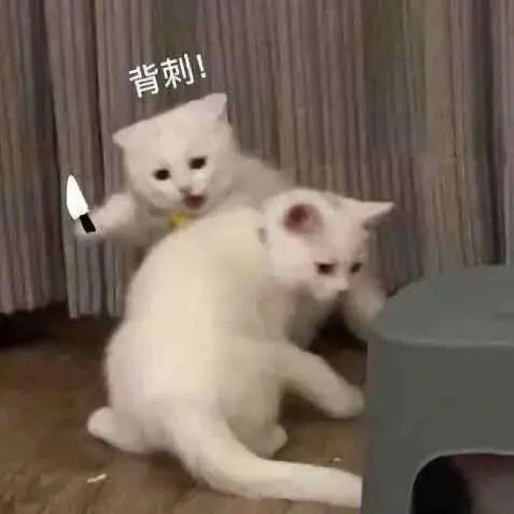 想吃果脯