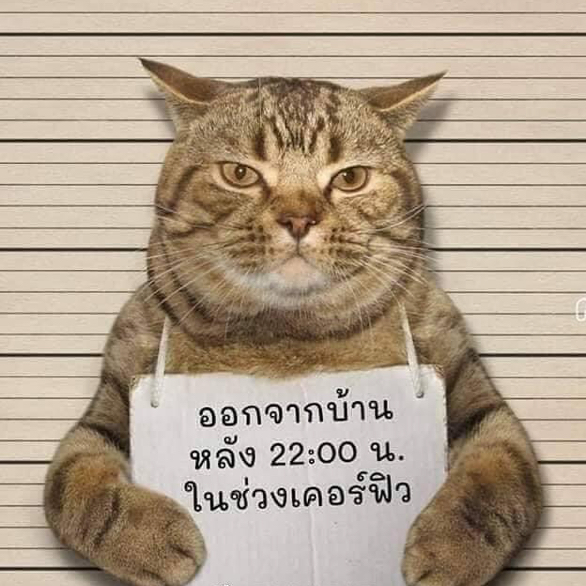 一兩涼白開