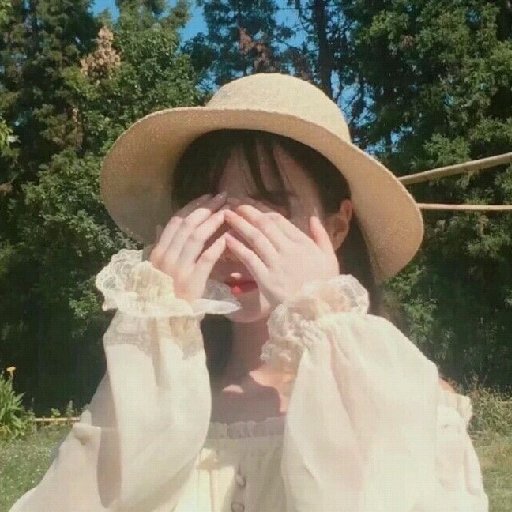 木芙里