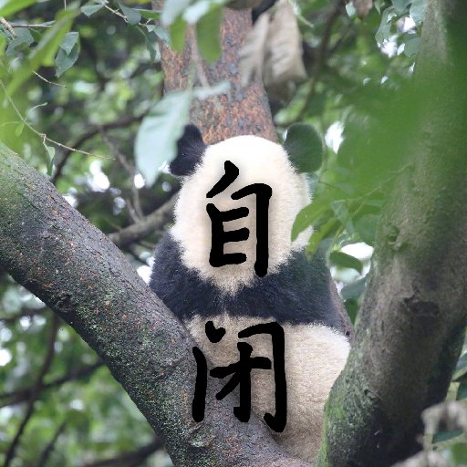 十五逢仙人