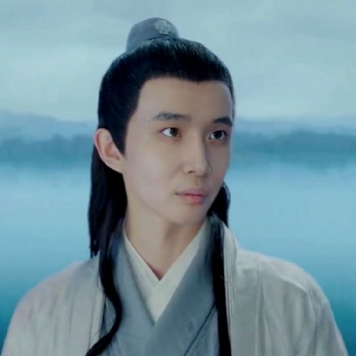 枝上嬋娟