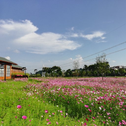 羅小也