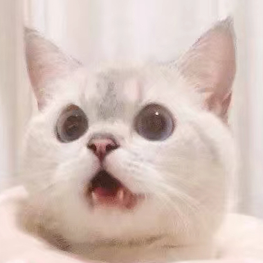 執(zhí)儀Dae