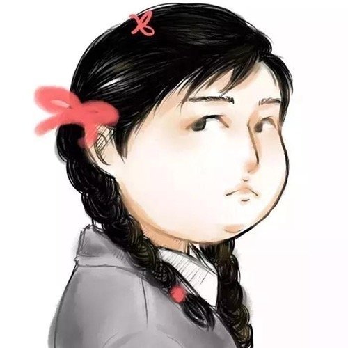 一只美豬