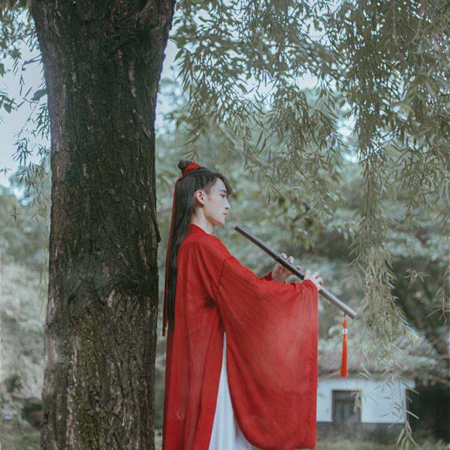 夏雨打蟬