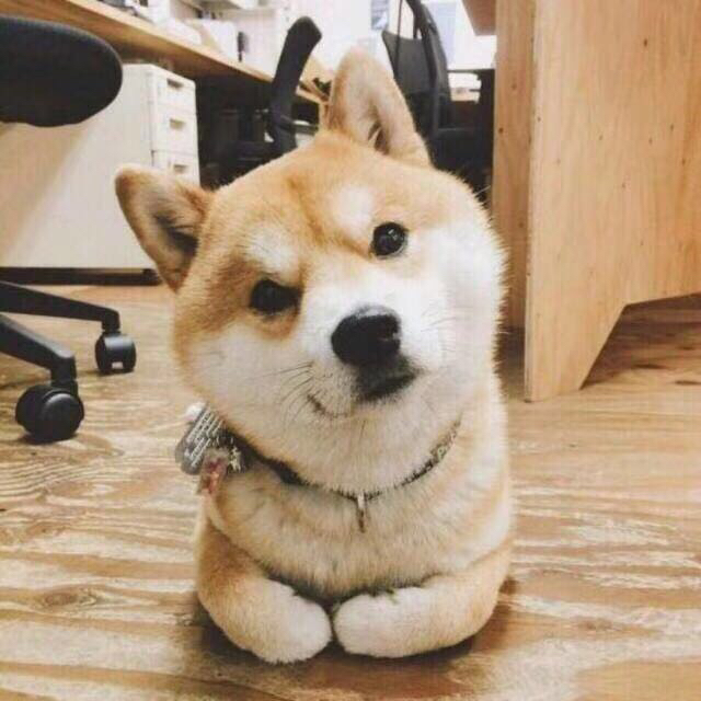 灑家隨風(fēng)