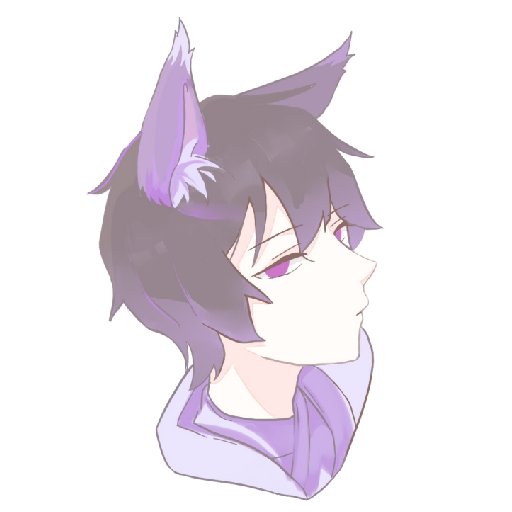 漸悄Iris