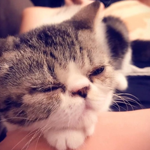 煙波三月