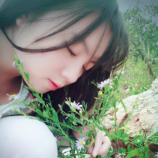 驚照影