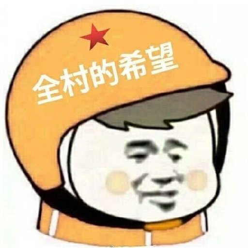拾荒大佬