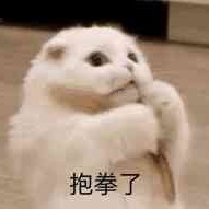 地心海大鯨魚