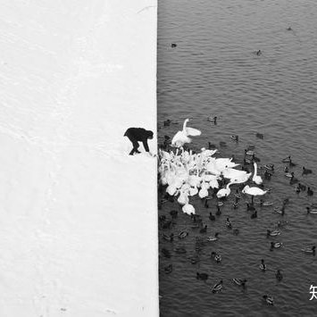 我不想寫單機(jī)