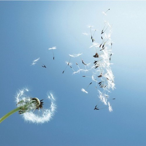 暮雨子曦