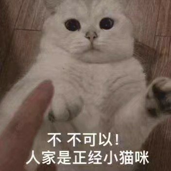 夏意歡