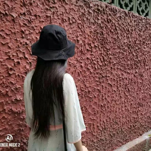 珊瑚蟲233