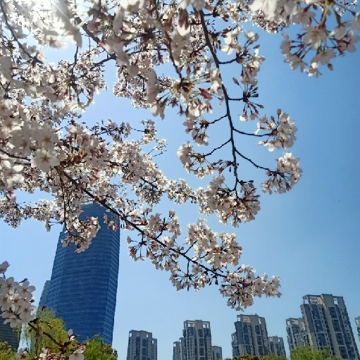 晚風吹過夏天