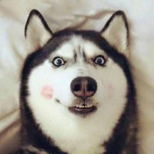 撫筏