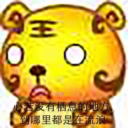 徐清溪