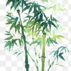 冬天里的瓜