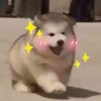 夢里見烽火