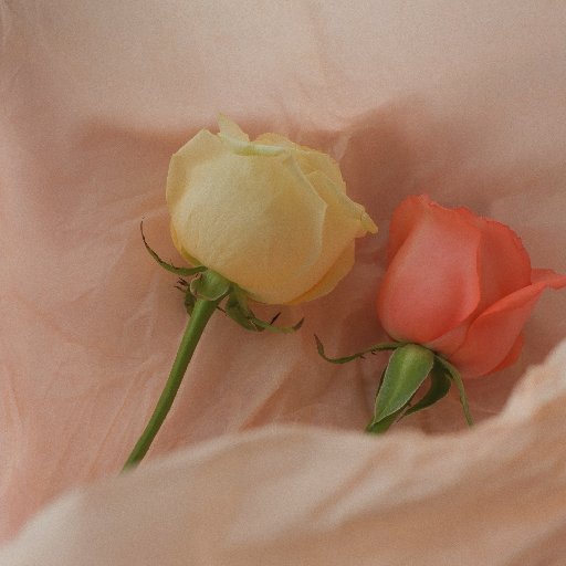 明月冰輪