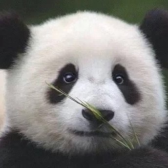 笨蝸牛丶