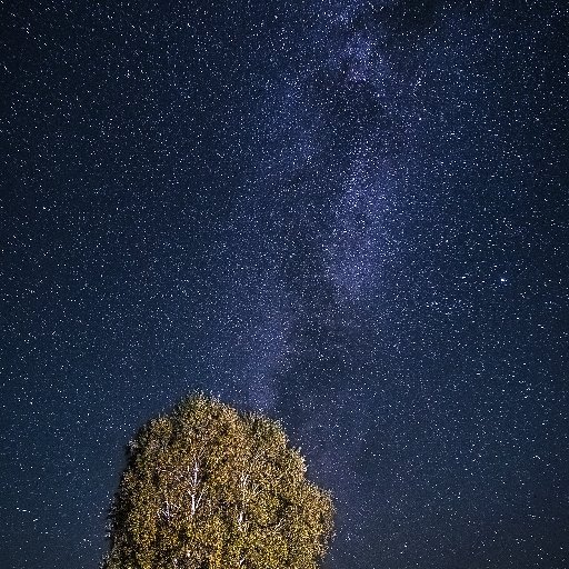太白水君