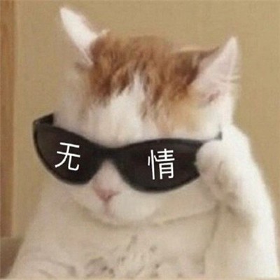 前塵如風(fēng)