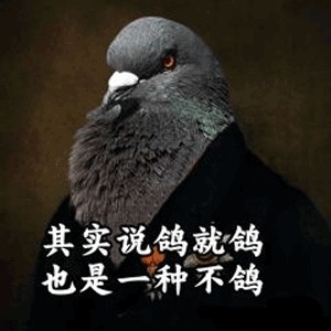 打死不鴿