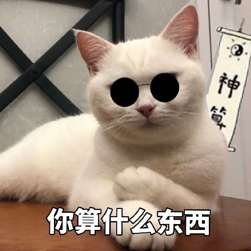 莫感情的小白