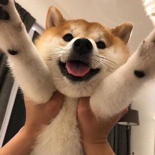 韓不匪