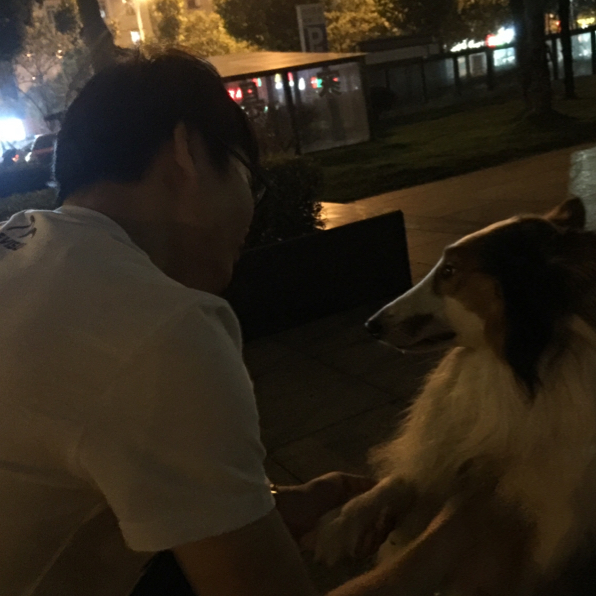 萌新小狼狗
