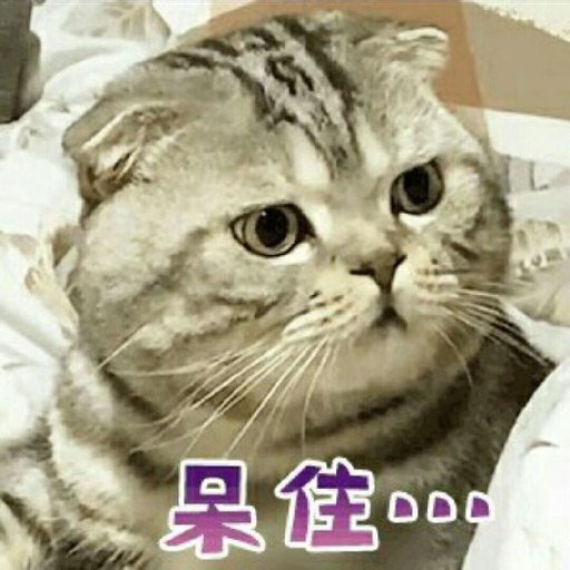 我在橋下煮魚