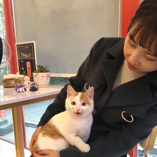 面包藍莓