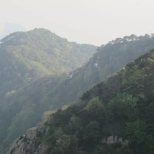 隱行者不遇