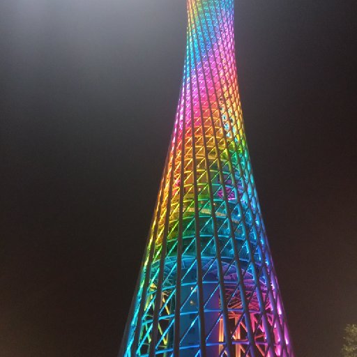 羊肉燉蘿卜