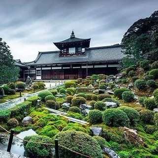 大雕東去