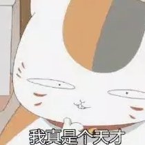 八云天才