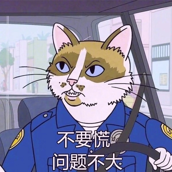 毛拾壹