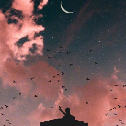 何舊九